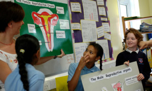 Year 6 sex education at a school in Lambeth